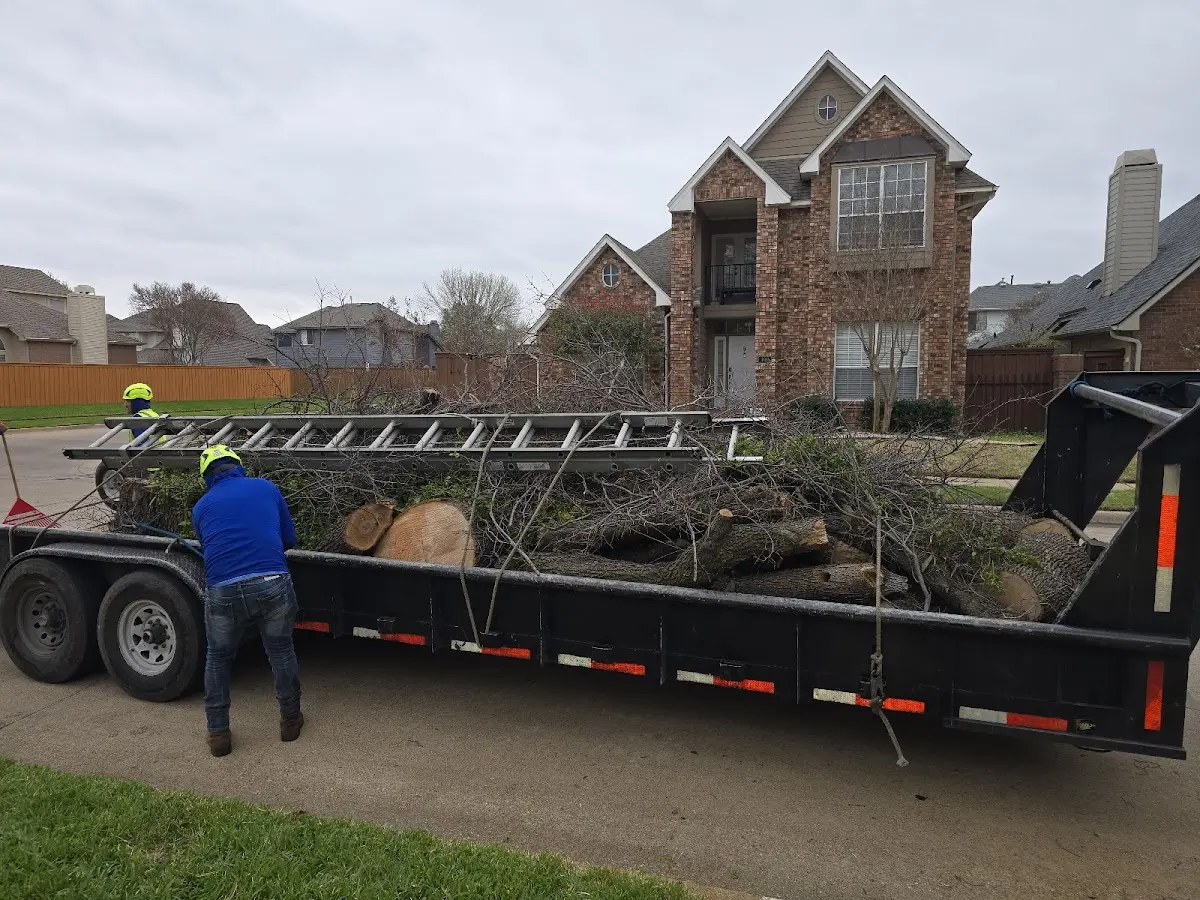 Expert Tree Fertilization with proper safety equipment in Millis